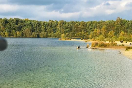 Stacaravan Huren In Het Hart Van Bosrijk Drenthe Op Recreatiepark De Tien Heugten Schoonloo Экстерьер фото